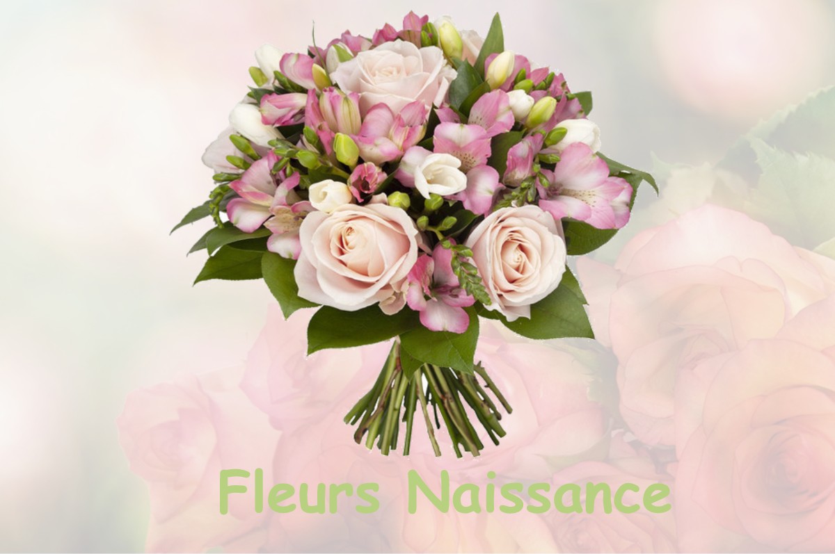 fleurs naissance MERENVIELLE