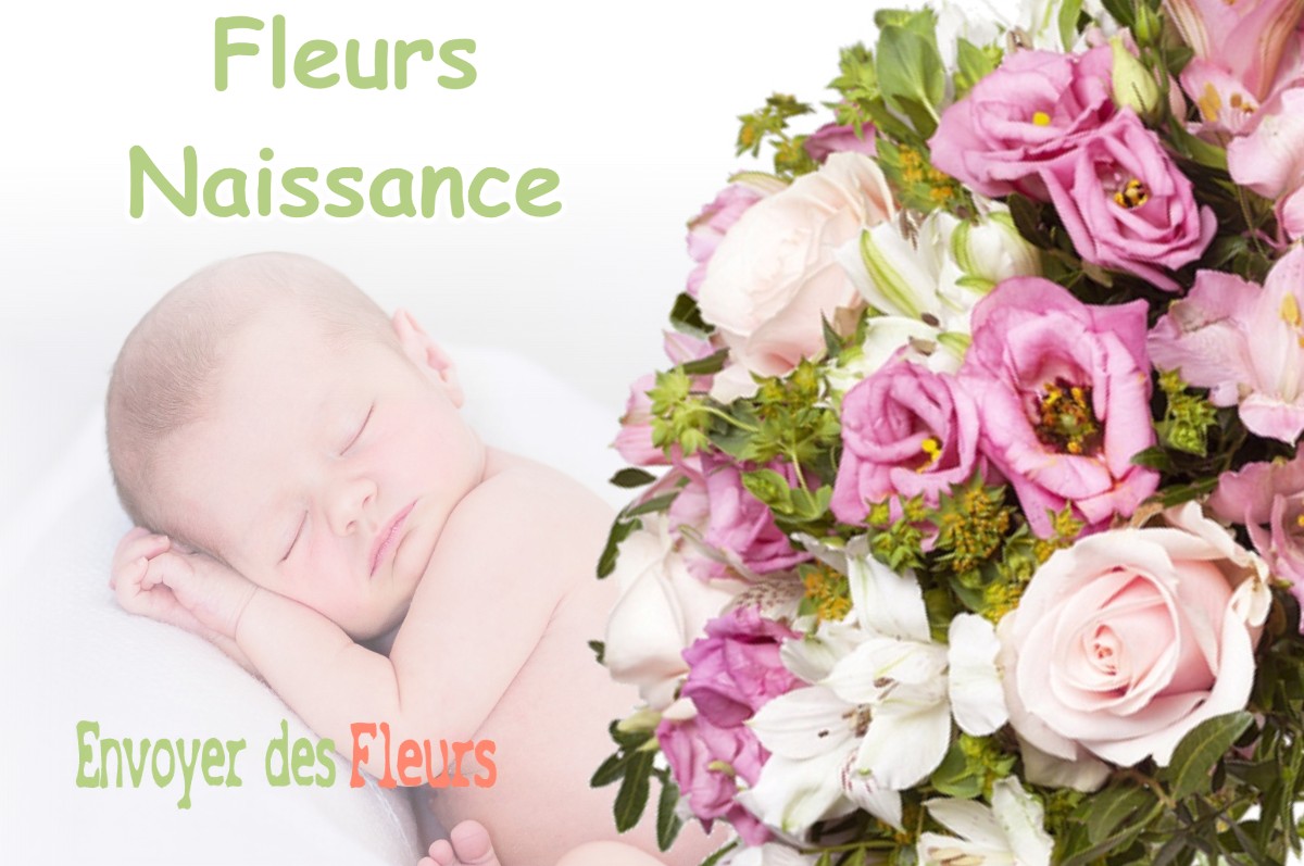 lIVRAISON FLEURS NAISSANCE à MERENVIELLE